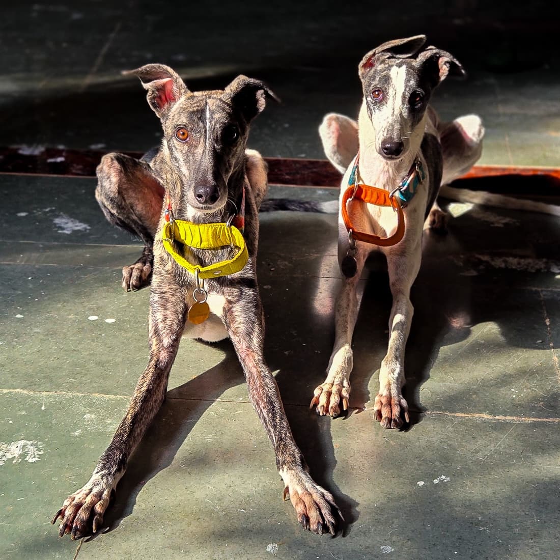 Michael & Maya's Mom