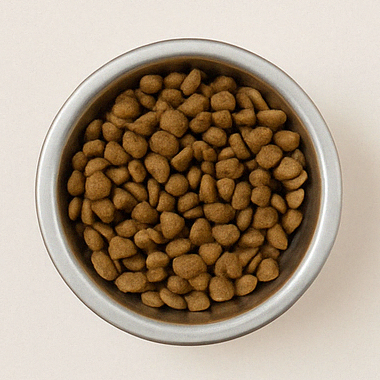 Dry Food Bowl