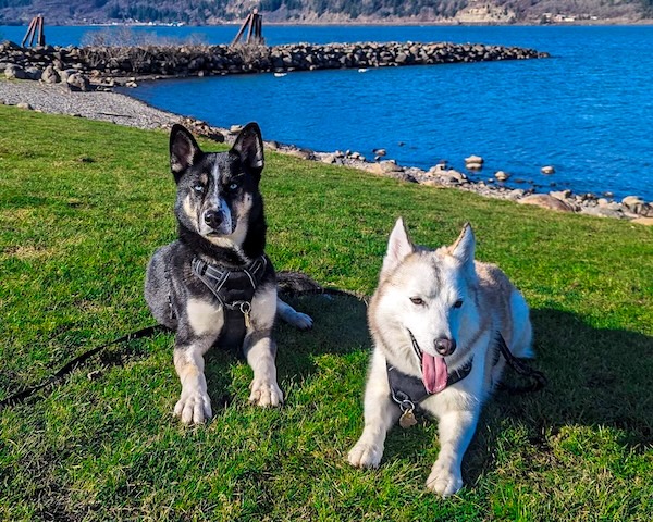 Storm and Venus together